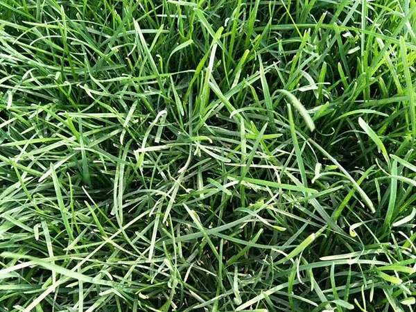 1627376994581669.jpg image.jpg