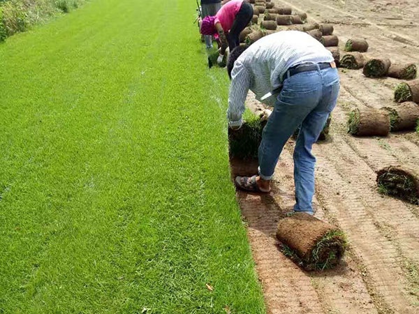 1627622456807324.jpg image.jpg