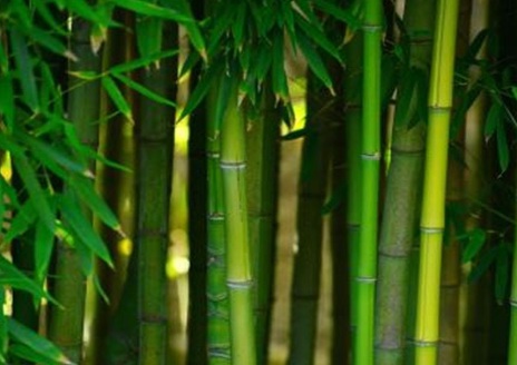 1629551329202001.jpg image.jpg