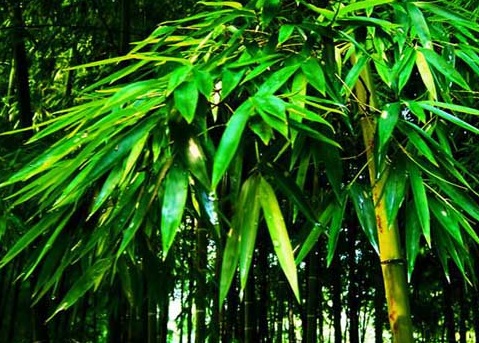 1629551339950261.jpg image.jpg