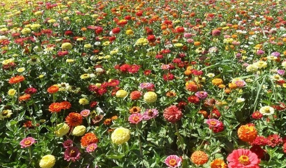 1630071824481562.jpg J[E5DCK1CMC4Q~JS50T8JEV.jpg