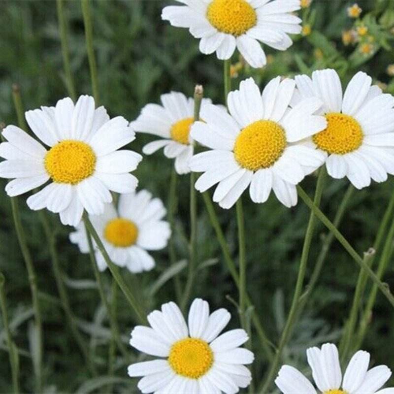 é?¤è??è?????????????????????§??¤??3¨????o?é?1