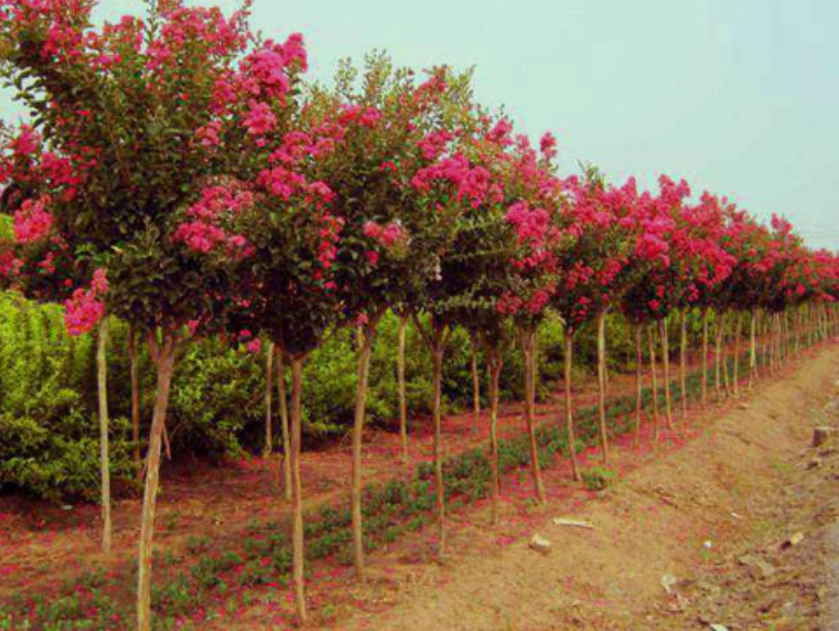 1630335137207861.jpg 滋味11111111111111.jpg