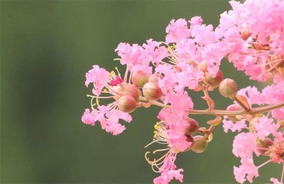 1634642331870128.jpg 1634642331870128.jpg