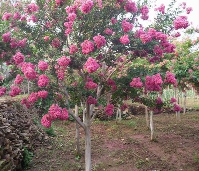 1634728149924840.jpg 1634728149924840.jpg