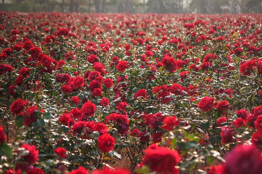 1634985780998920.jpg 1634985780998920.jpg