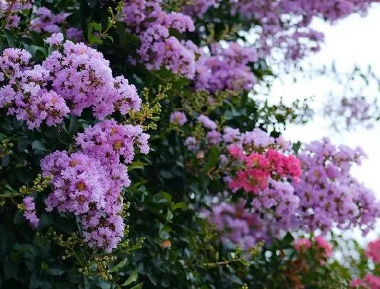 1635742557198725.jpg 1635742557198725.jpg