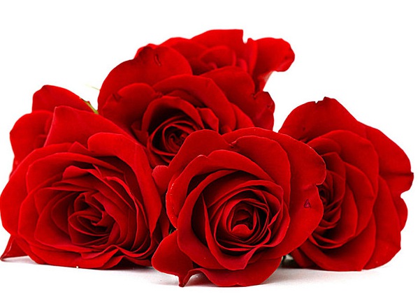 1637021297174990.jpg image.jpg