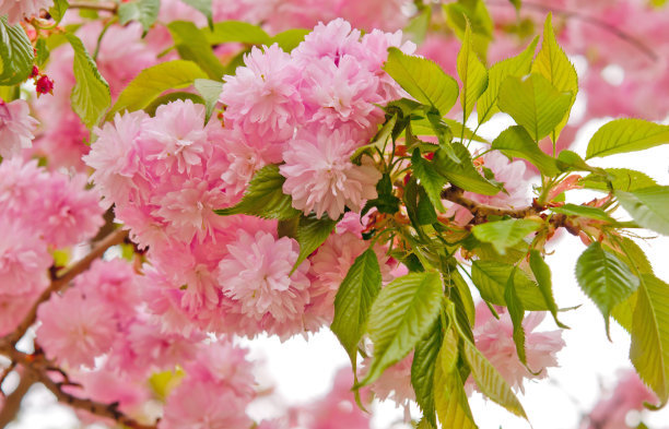 1641213215199455.jpg 1641213215199455.jpg