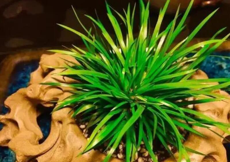 1644240216246867.jpg 1644240216246867.jpg