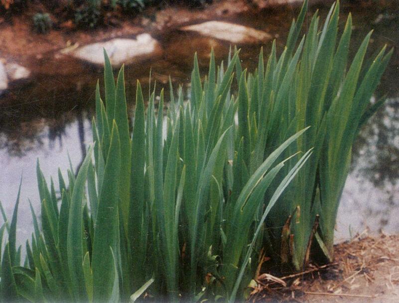 1644240216604292.jpg 1644240216604292.jpg