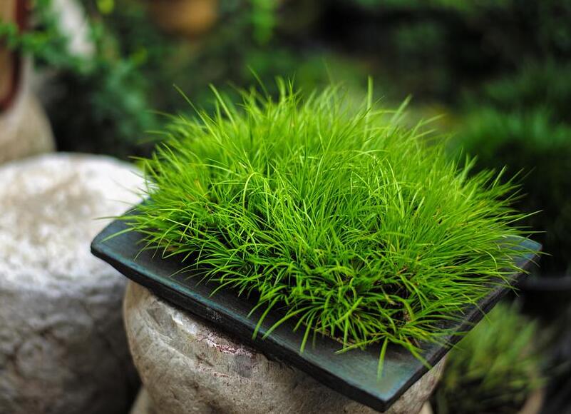 1644240216811053.jpg 1644240216811053.jpg