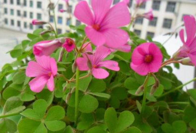 1645844445735563.jpg 3.jpg