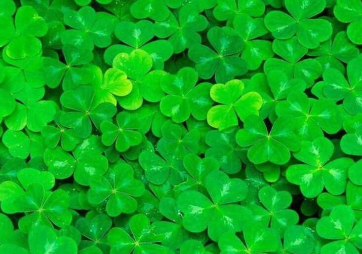 1646137615123166.jpg 2.jpg