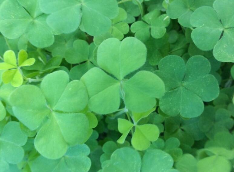 1646746123997447.jpg 1646746123997447.jpg