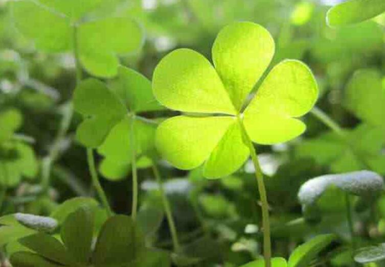 1646792295199193.jpg 3.jpg