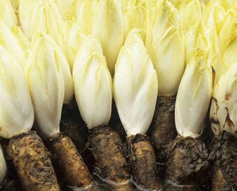 1649321879211414.jpg 1649321879211414.jpg