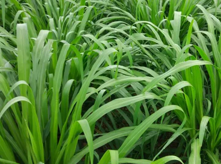 1650421679170273.jpg 1.jpg