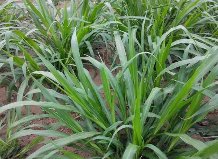 1650421689997292.jpg 2.jpg