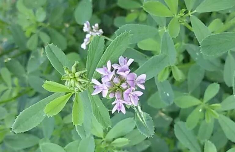 1650982473107331.jpg 2.jpg