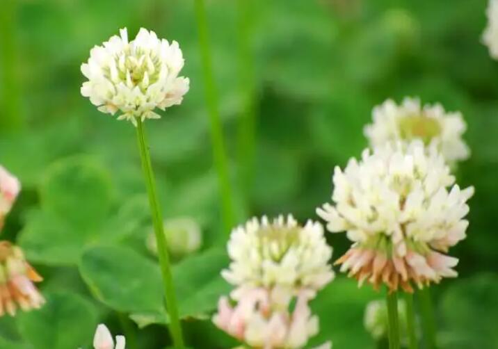 1652190469583577.jpg 1652190469583577.jpg