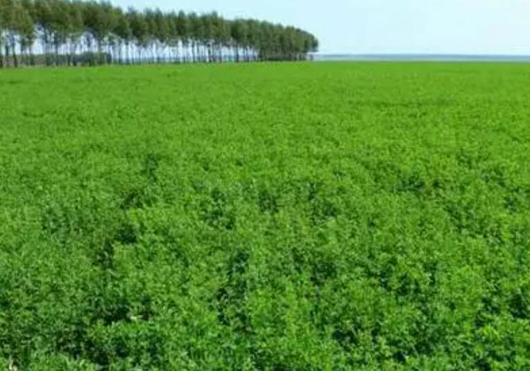 1652876395503625.jpg 3.jpg