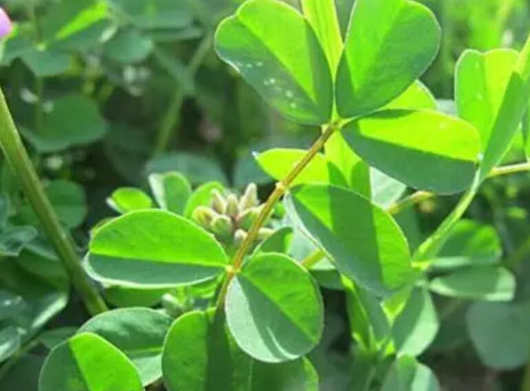 1652882357177764.jpg 2.jpg