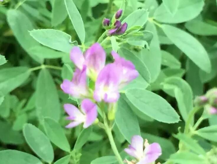 1652882366921664.jpg 3.jpg