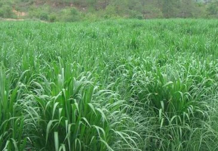 1652935912758999.jpg 1.jpg