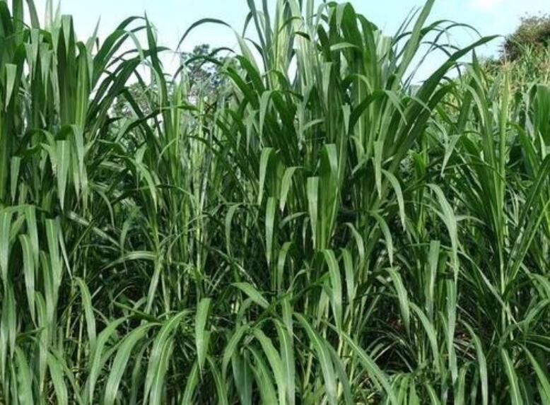 1652935919887069.jpg 2.jpg