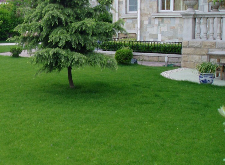 1653561078740063.jpg 1653561078740063.jpg