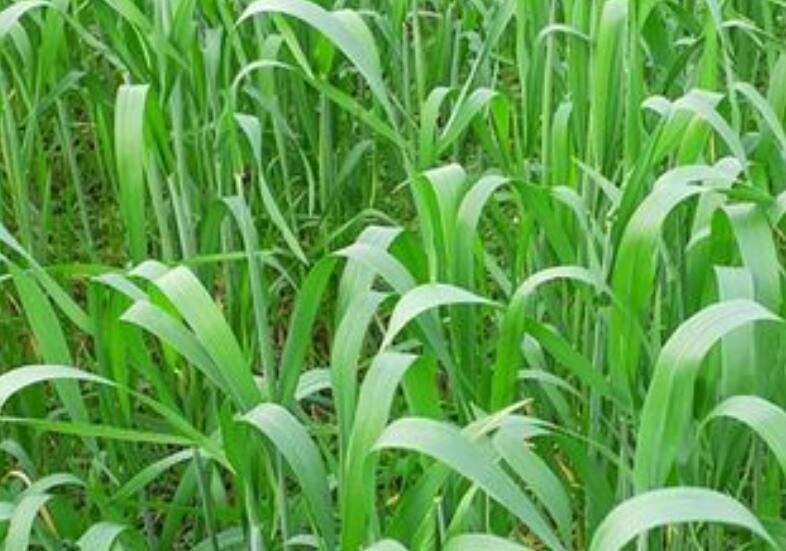 1654173415419558.jpg 1.jpg