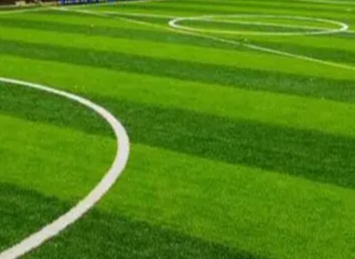 1657627427902830.jpg 2.jpg