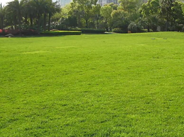 1659707463961633.jpg 1.jpg