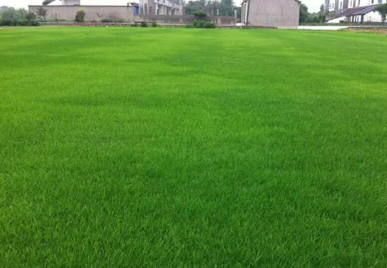 1659707554979024.jpg 1.jpg